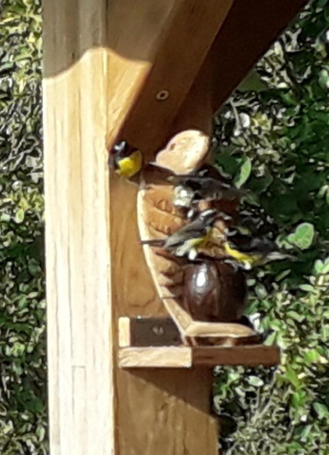 Ti Kaz Anoli Vue Epoustouflante Sur La Baie Villa Terre-de-Bas Buitenkant foto
